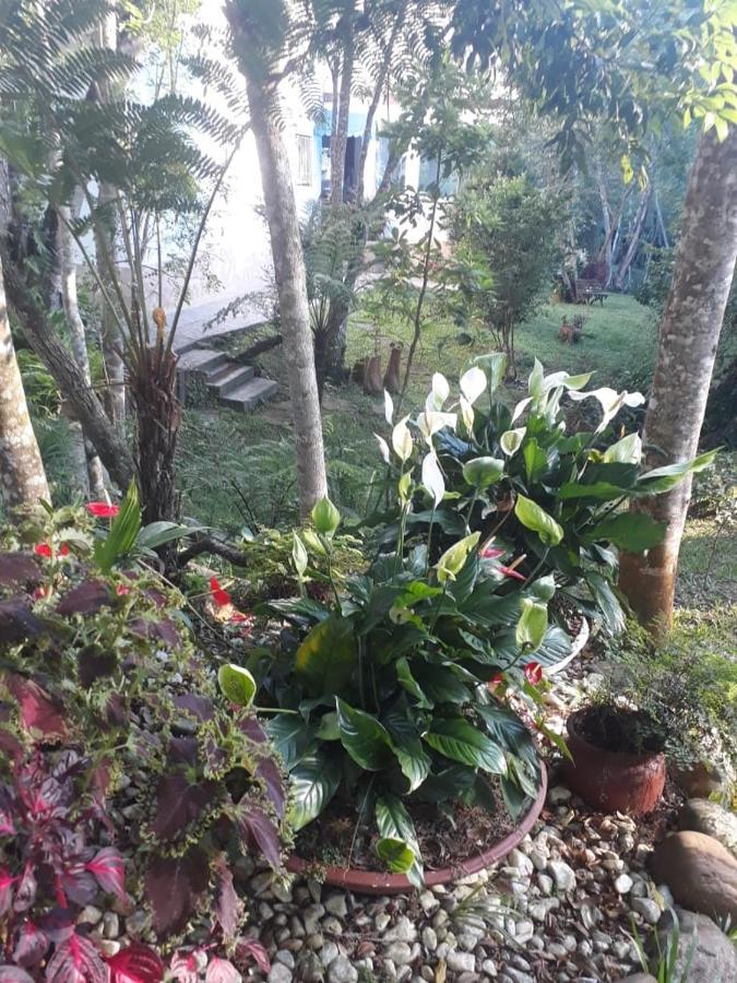 Chacara Da Promessa De Deus Villa Icatuacu Eksteriør billede